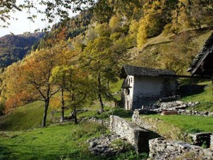 Maison de groupes Cà da l'Ava Vue de la maison automne