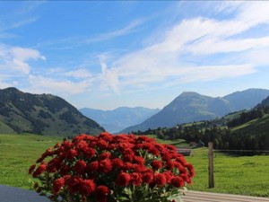 Alphütte Langboden Aussicht Sommer