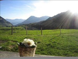 Lever de soleil avec vue jusqu'au Rigi, au Buochserhorn et au lac des Quatre-Cantons