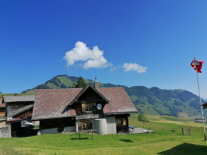 Mountain hut Langboden House view summer