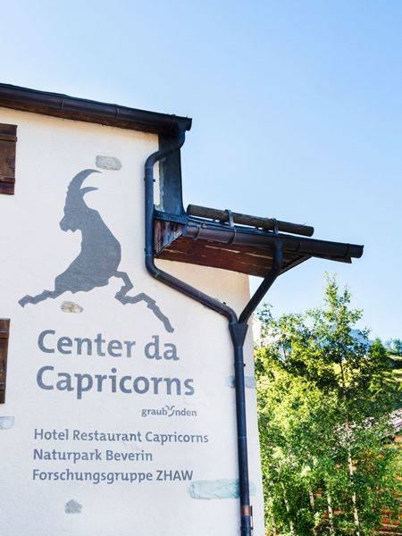 Hotel Capricorns