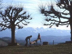 Ferienheim Bühl