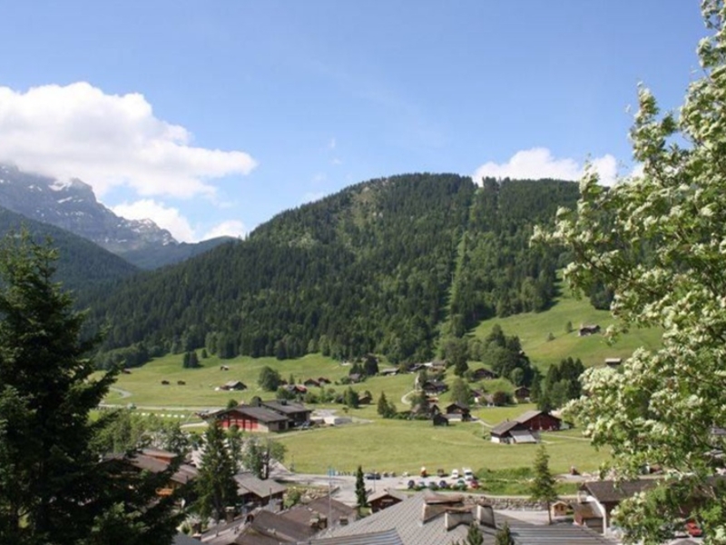 Chalet Jolimont View