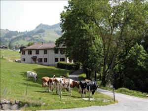 Auberge de Jeunesse Château-d’Oex