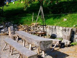 Group and holiday home Weid Barbecue area