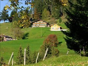 Ferien- und Gruppenhaus Weid Umschwung Sommer