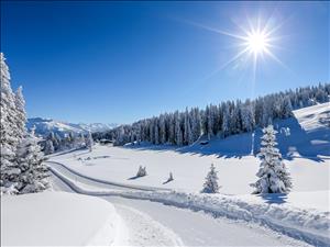 Refuge Schwänzelegg