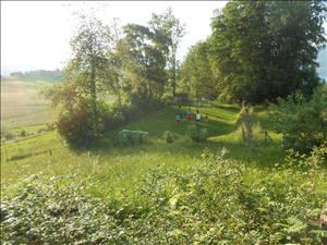 Group accommodation Chalet Aeschi Football pitch