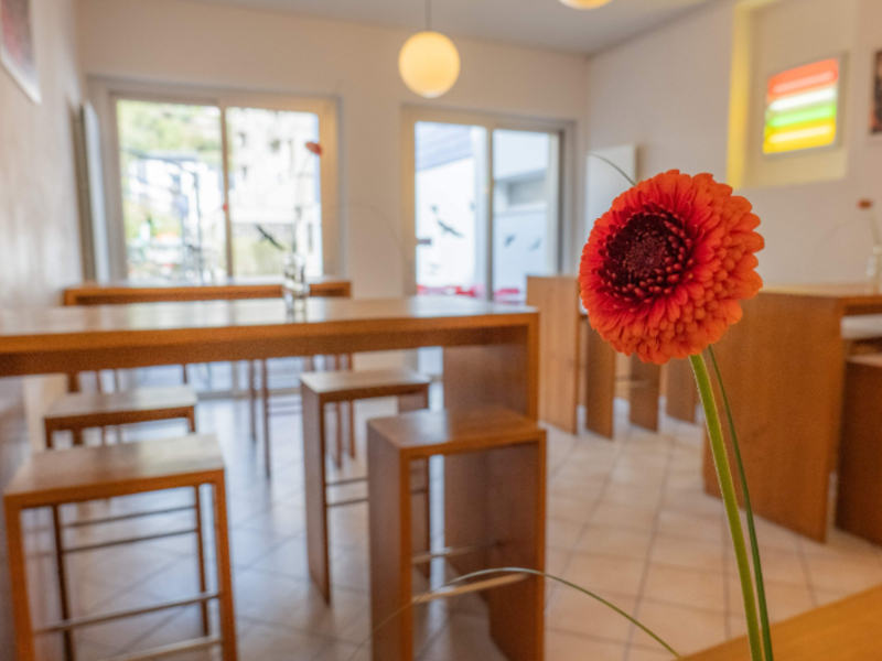 Auberge de Jeunesse Locarno Séjour