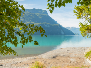 Jugendherberge Brienz Umschwung