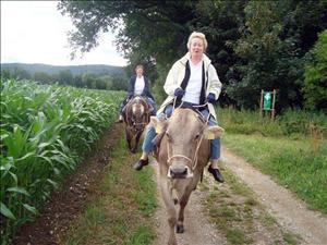 Aventure sur la paille Bolderhof