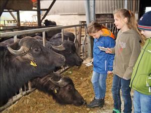 Aventure sur la paille Bolderhof