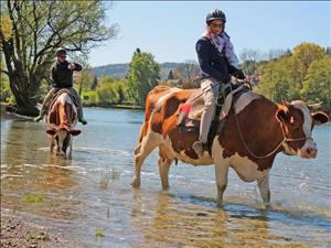 Aventure sur la paille Bolderhof