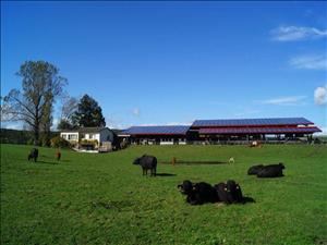 Aventure sur la paille Bolderhof