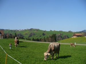 Maison de vacances Frohheim