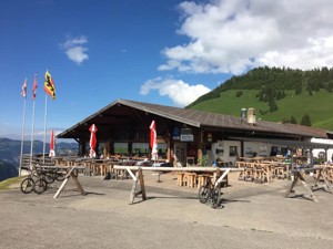 Mountain hotel Wiriehorn House view summer