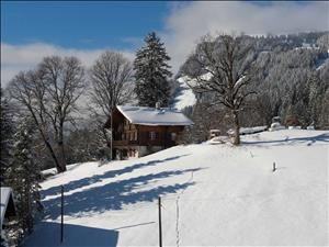 Ferienhaus Chalet Teufi