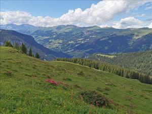 Friends of nature accommodation Medergerfluh