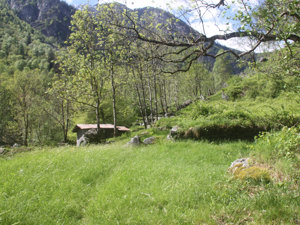 Camping Al Mulin