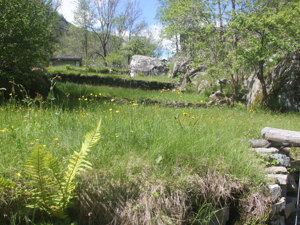 Camping Al Mulin