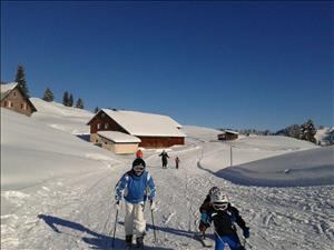 Alp-refuge Alp Rotenfluh