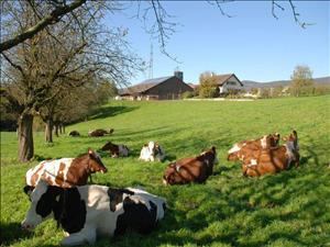 Farm Gehrenhof