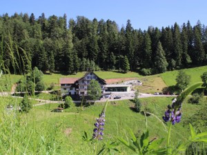 Ferienheim Palmspring Hausansicht Sommer