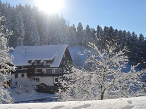 Ferienheim Palmspring Hausansicht Winter