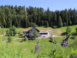 Ferienheim Palmspring Hausansicht Sommer