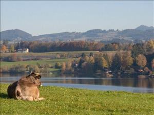 Seminar and guest house Werkstatt Engel