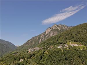 Group accommodation Wild Valley Palm Terrace View