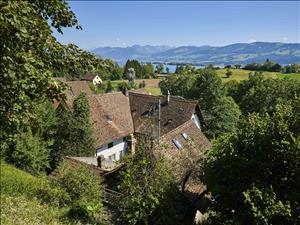 Ferme Synergy Village L'espace autour de la maison