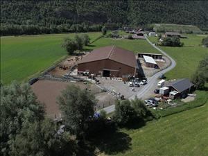 Stud farm Gentinetta Pferde