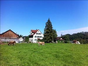 Group accommodation Alten