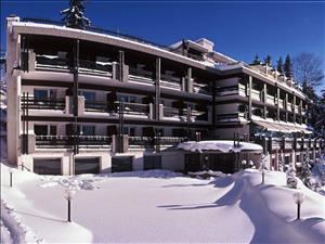 Mountain hotel Hotel de la Foret