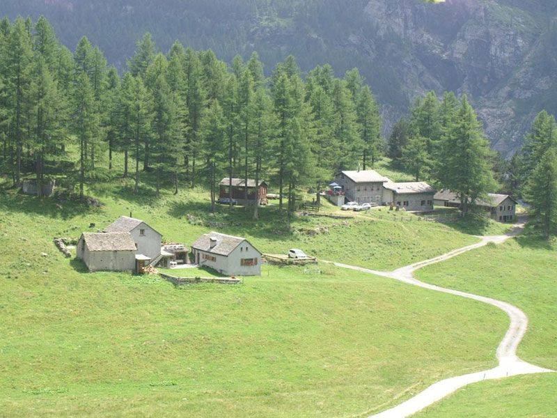 Ferienlager Alpjen