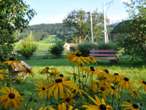 Ferienhaus Erika Garten