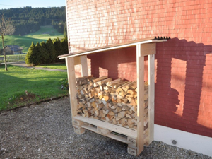 Ferienhaus Erika Grillstelle