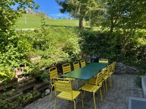 Gruppenhaus AmdenLodge Gardens Chalet Terrasse