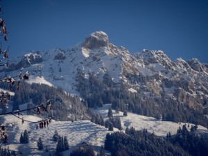 Ferienhaus Frutighus im Frutigresort