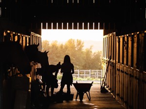 Myfarm - farm holidays | gruppenhaus.ch