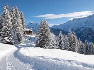 Logements de groupe dans le canton de Glaris