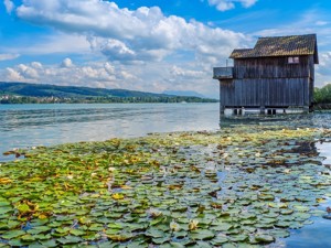 Group houses in the canton of Aargau