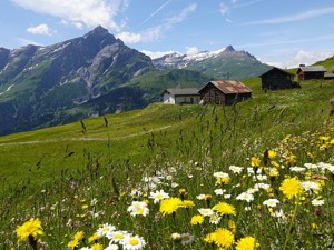 Camp houses in Graubünden | gruppenhaus.ch