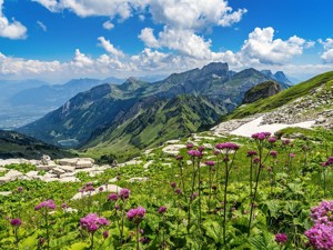 The Canton of St. Gallen in summer and winter