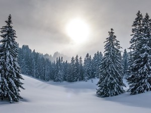Der Kanton St. Gallen im Sommer und Winter