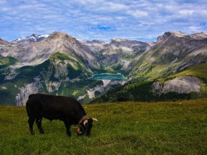 The Valais in summer and winter | gruppenhaus.ch