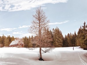 Unsere Gruppenhäuser in Österreich