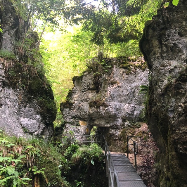 #130 Rundwanderung Teufelsschlucht Belchen - Belchenflue