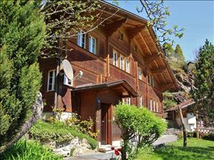 Ferienhaus Chalet-9